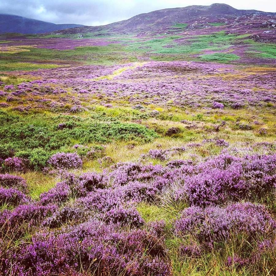Baltinna East - By Where Stags Roar Newtonmore Exteriör bild